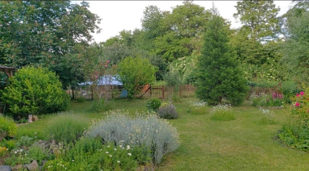 Orangerie Zimmer Gehaichnishof 7Born Maring-Noviand Buitenkant foto